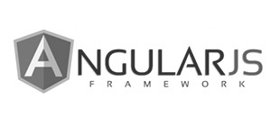 Angular js